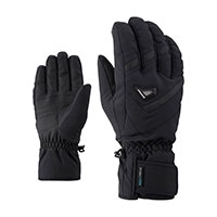  GARY AS(R) glove ski alpine black